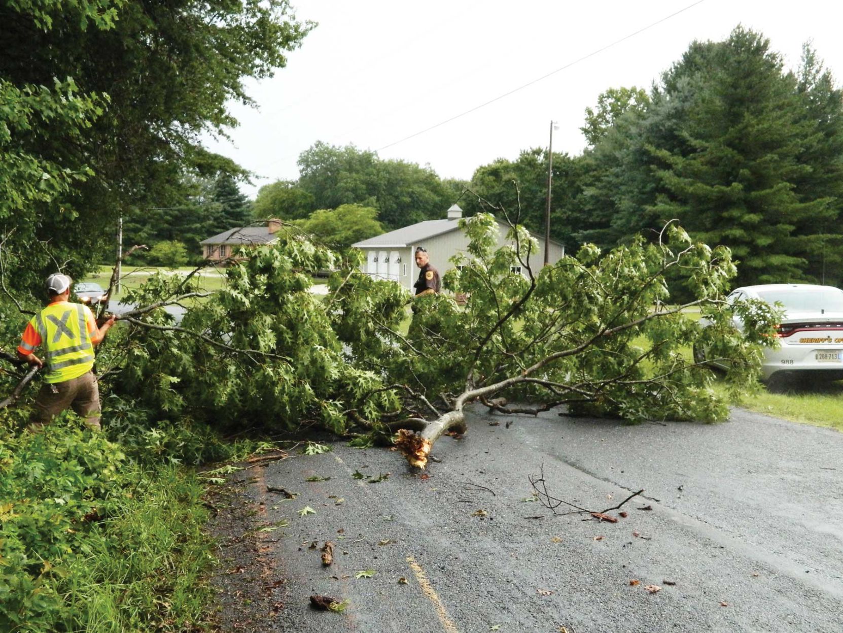 Tree blocks road in Pamplin area